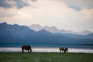 Central Asia at a Glance