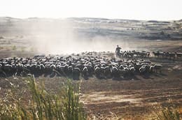Heart of the Karakum