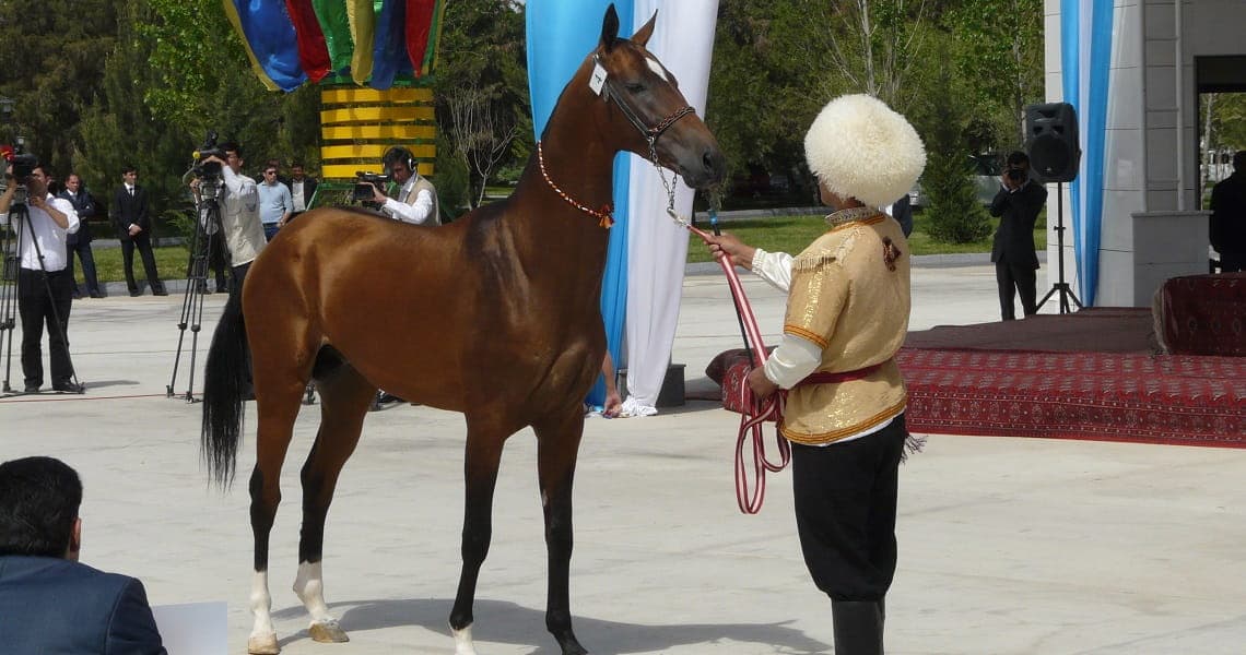 Special tour "Ahalteke Horses"